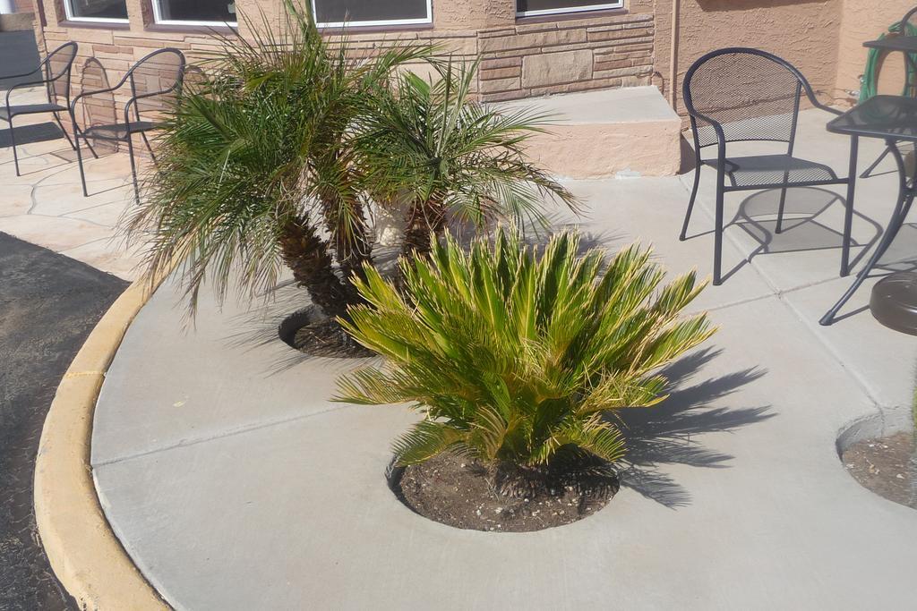 Palms Inn Gila Bend Esterno foto